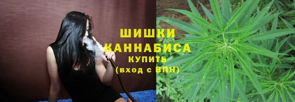 PSILOCYBIN Балабаново