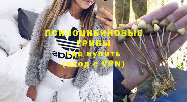 PSILOCYBIN Балабаново
