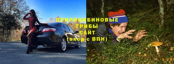PSILOCYBIN Балабаново