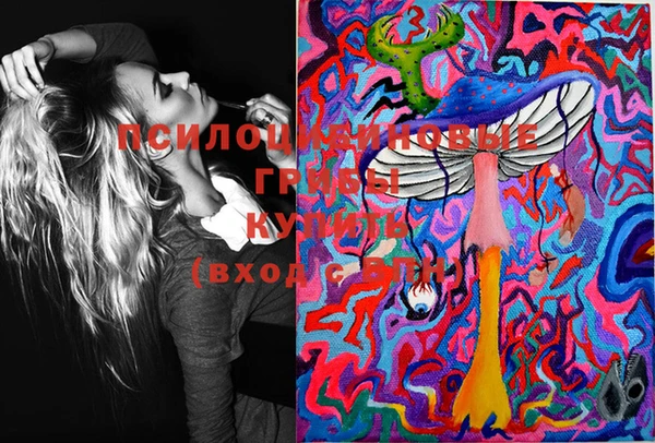 PSILOCYBIN Балабаново