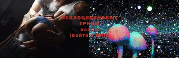 PSILOCYBIN Балабаново